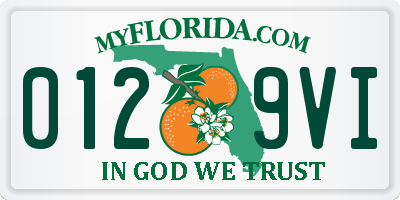 FL license plate 0129VI