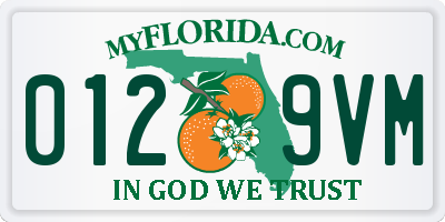 FL license plate 0129VM