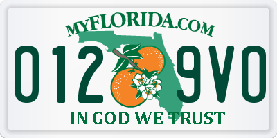 FL license plate 0129VO
