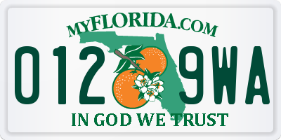 FL license plate 0129WA