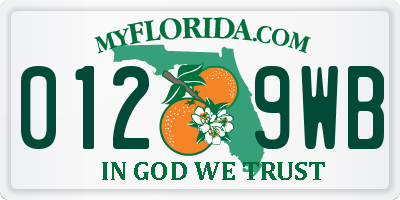FL license plate 0129WB