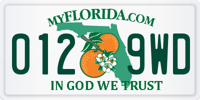 FL license plate 0129WD