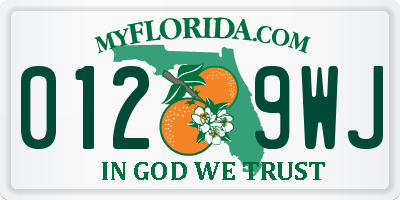 FL license plate 0129WJ