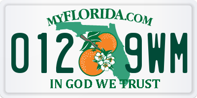 FL license plate 0129WM