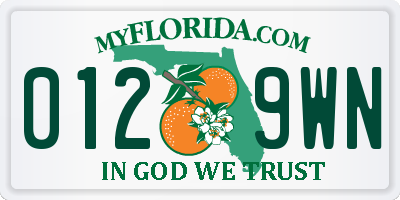 FL license plate 0129WN