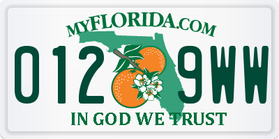FL license plate 0129WW