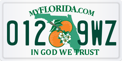 FL license plate 0129WZ