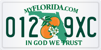 FL license plate 0129XC