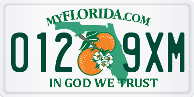 FL license plate 0129XM