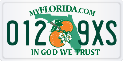 FL license plate 0129XS
