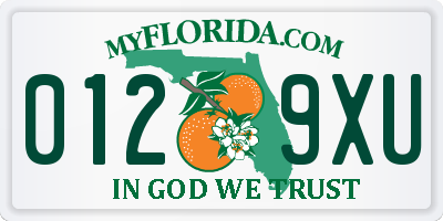 FL license plate 0129XU