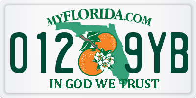 FL license plate 0129YB