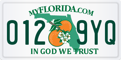 FL license plate 0129YQ