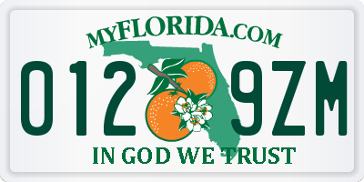 FL license plate 0129ZM