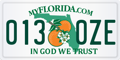 FL license plate 0130ZE