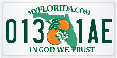 FL license plate 0131AE