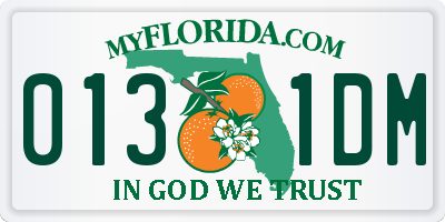 FL license plate 0131DM