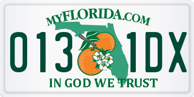 FL license plate 0131DX