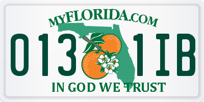 FL license plate 0131IB