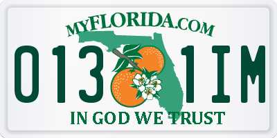 FL license plate 0131IM