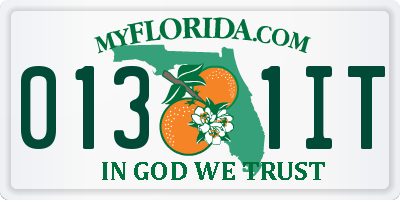 FL license plate 0131IT
