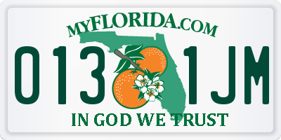 FL license plate 0131JM