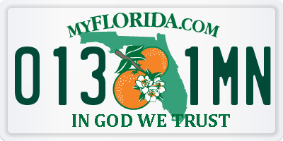FL license plate 0131MN