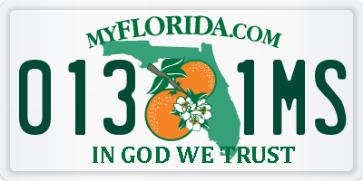 FL license plate 0131MS
