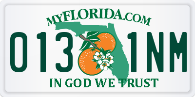 FL license plate 0131NM