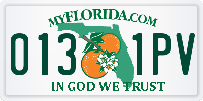 FL license plate 0131PV