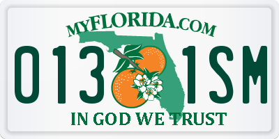 FL license plate 0131SM