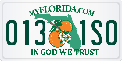 FL license plate 0131SO
