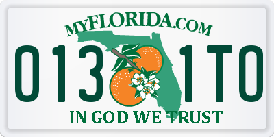 FL license plate 0131TO