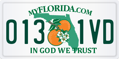 FL license plate 0131VD