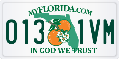 FL license plate 0131VM