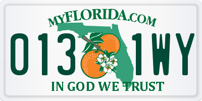 FL license plate 0131WY