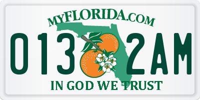 FL license plate 0132AM