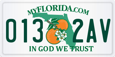 FL license plate 0132AV