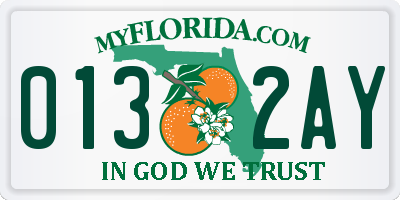 FL license plate 0132AY