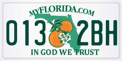 FL license plate 0132BH