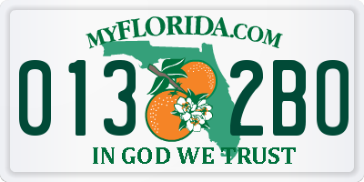 FL license plate 0132BO