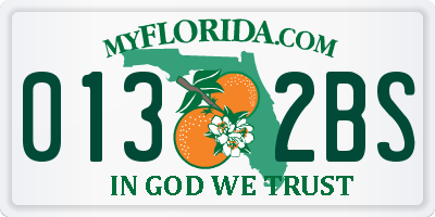 FL license plate 0132BS