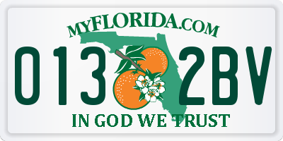 FL license plate 0132BV