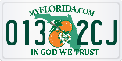 FL license plate 0132CJ