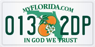 FL license plate 0132DP