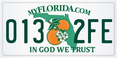 FL license plate 0132FE