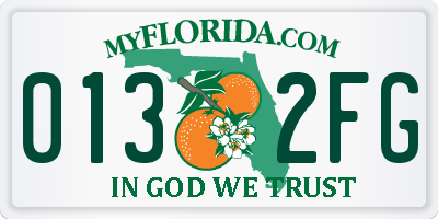 FL license plate 0132FG