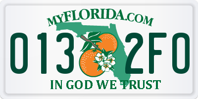 FL license plate 0132FO
