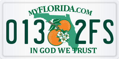FL license plate 0132FS