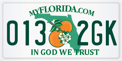 FL license plate 0132GK